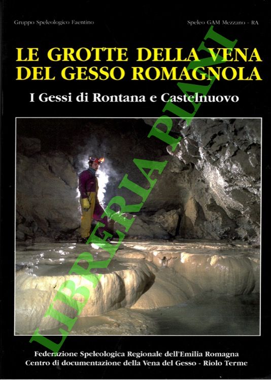 Le grotte della vena del gesso romagnola. I gessi di …