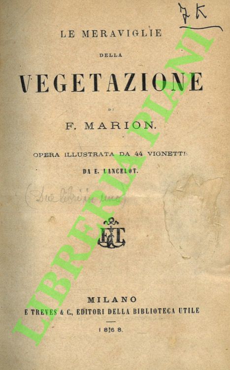 Le meraviglie della vegetazione.