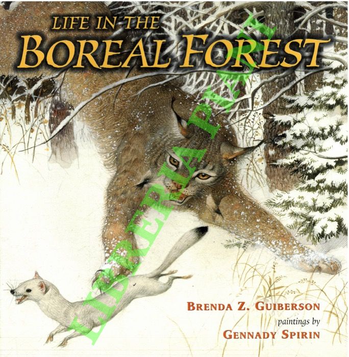 Life in the Boreal Forest.