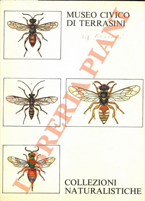 Museo Civico di Terrasini. Sezione Naturalistica.