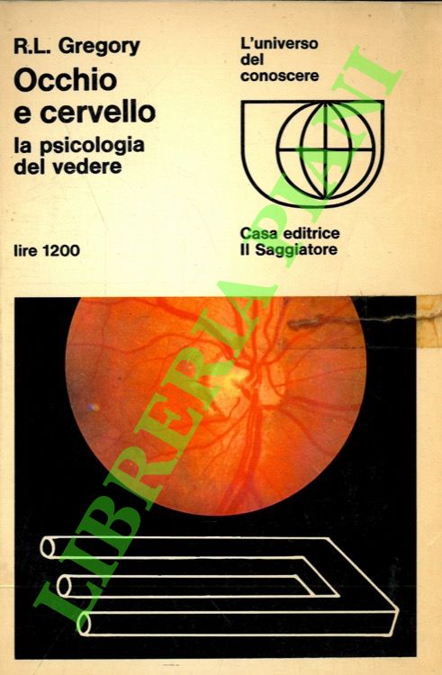 Occhio e cervello. La psicologia del vedere.