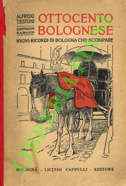 Ottocento bolognese. Nuovi ricordi di Bologna che scompare.