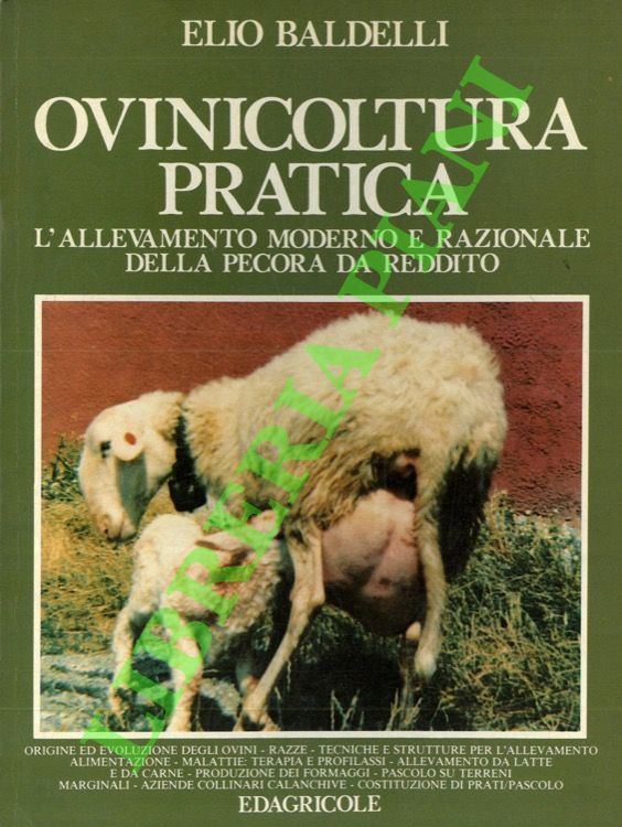 Ovinicoltura pratica. L'allevamento moderno e razionale della pecora da reddito.