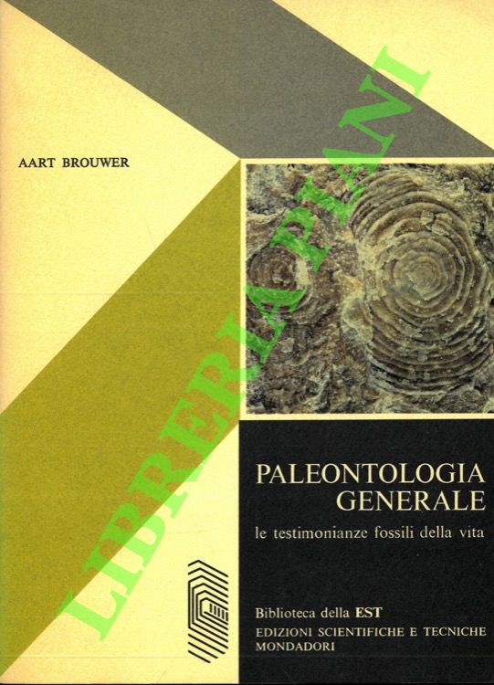 Paleontologia generale. Le testimonianze fossili della vita.