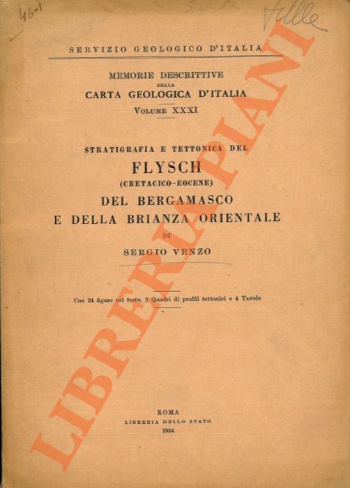Stratigrafia e tettonica del Flysch (Cretacico-Eocene) del Bergamasco e della …