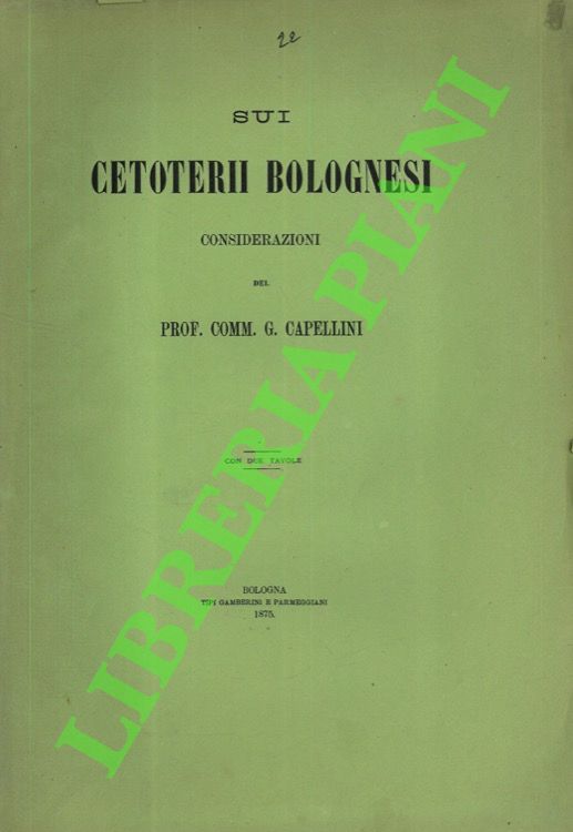 Sui cetoterii bolognesi.