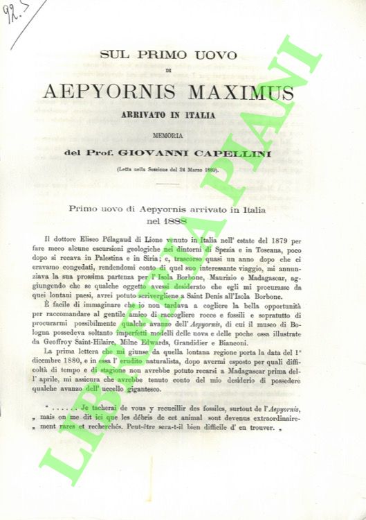 Sul primo uovo di Aepyornis maximus arrivato in Italia.