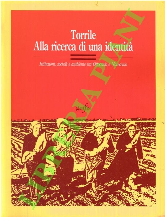 Torrile. Alla ricerca di una identità. Istituzioni, società e ambiente …