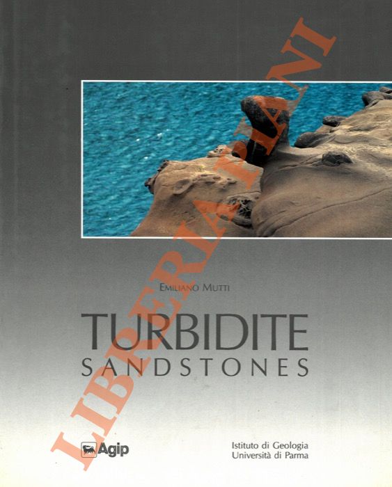 Turbidite Sandstones.