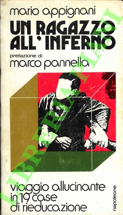 Un ragazzo all'inferno. Prefazione di Marco Pannella.Viaggio allucinante in 19 …