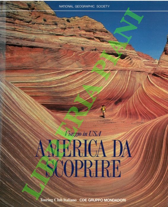 Viaggio in USA. America da scoprire.