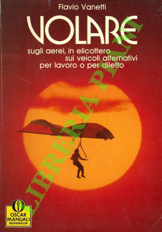 Volare sugli aerei, in elicottero, sui veicoli alternativi per lavoro …