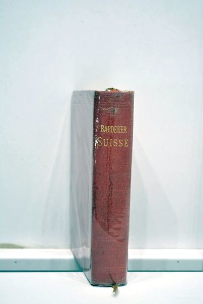 La Suisse et les parties limitrophes de la Savoie et …