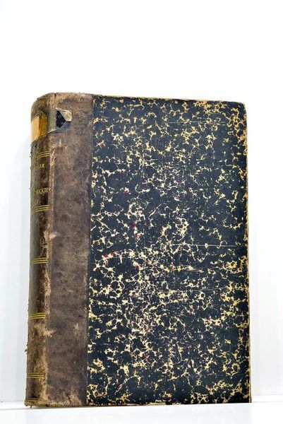 La France économique et l'armée.