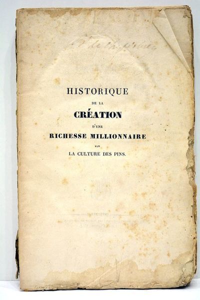 Historique de la création d'une richesse millionnaire par la culture …