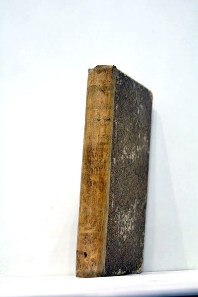 Conciones et orationes poeticae ou Discours et harangues choisies, tirées …