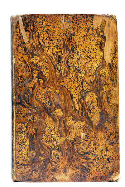 Lo Gayté del Llobregat. Poesias. Barcelona, en la Estampa de …