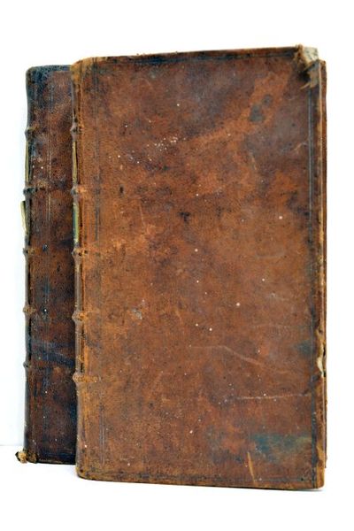 Histoire de France, depuis l'établissement de la Monarchie jusqu'au Règne …