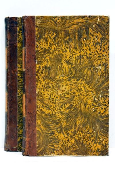 Odyssée. Oeuvres d'Homère, avec des remarques précédées de réflexions sur …