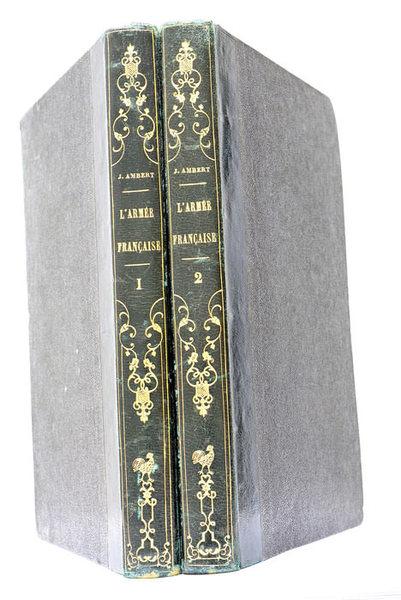 Esquisses historiques psychologiques et critiques de l'Armée Française.