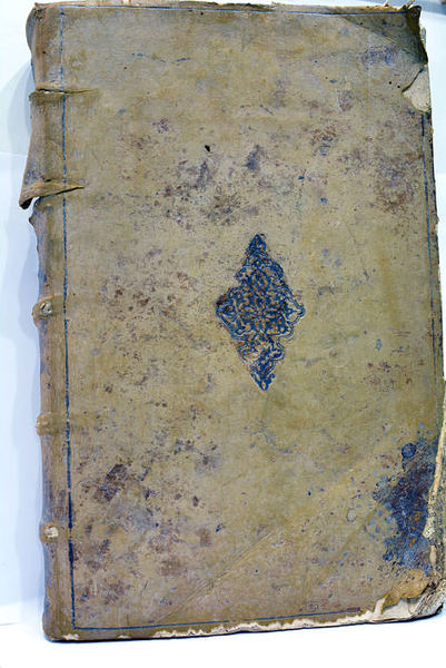 Decisiones Burdegalenses summa diligentia et eruditione collectae, et explicatae. Unà …