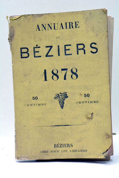 Histoire de la guerre de la Péninsule sous Napoléon.
