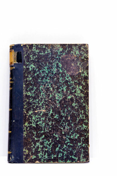 Guide de l'officier d'infanterie monté.