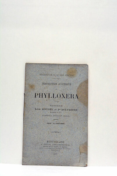 Destruction successive du Phylloxera.