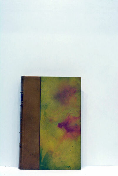 Yamilé sous les cèdres.