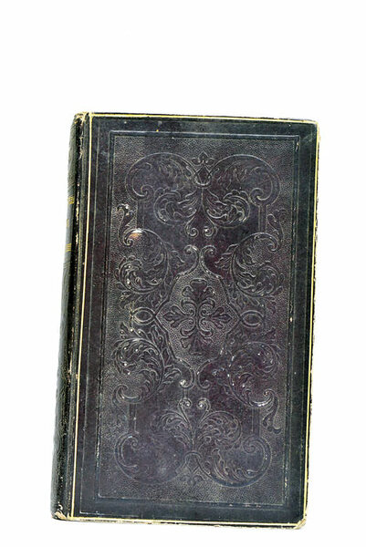 Firmin, ou le jeune voyageur en Égypte.