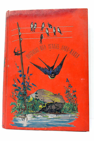 Histoire d'un tunnel sous-marin.