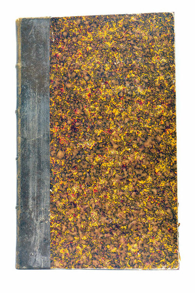 LA BASTILLE. SON HISTOIRE.- Ses gouverneurs.- Ses prisonniers. RELIÉ AVEC …