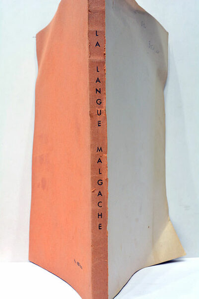 La Langue Malgache en 30 familles de mots. Essai de …