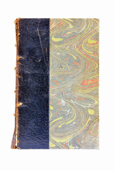 Sophismes Politiques de ce temps. Étude critique. Sur les formes, …