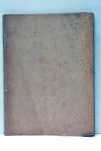 Dans la Brousse Zambézienne. Récit d'un Voyage au Bototela.