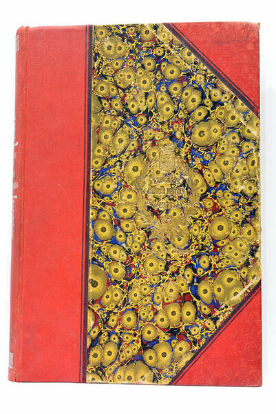 A travers les Pyrénées. Illustrations d'après les photographies de MM. …