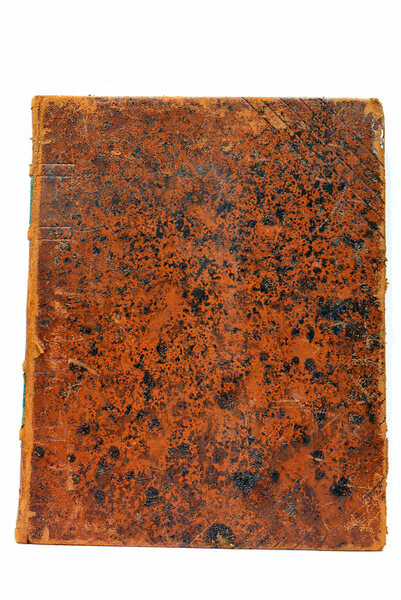 Traité pratique de Dorure et de Mosaïque sur Cuirs à …