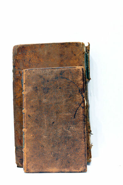 L'Allemagne comme je viens de la voir. Cent vingt-cinq dessins …