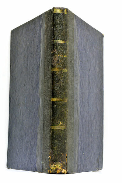 Le Roman. Etudes artistiques et littéraires.