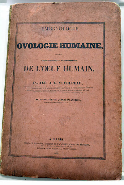 Embryologie ou Ovologie Humaine, contenant l'Histoire Descriptive et Iconographique de …