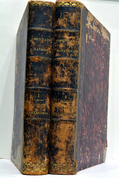 Nomenclator botanicus seu: synonymia plantarum universalis, enumerans ordine alphabetico nomina …