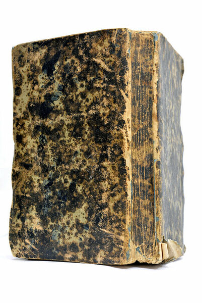 Flammulae Amoris S. P. Agustini, Versibus et Iconibus Exornatae.