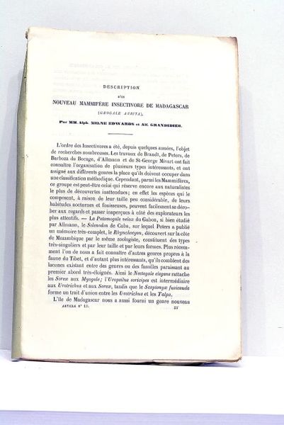 Description d'un Nouveau Mammifère Insectivore de Madagascar (Geogale Aurita).