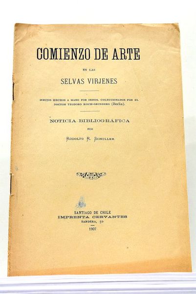 Comienzo de Arte en las Selvas Virjenes. Dibujos hechos a …