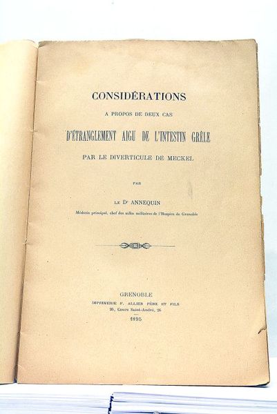 Considérations à propos de deux cas d'Etranglement Aigu de l'Intestin …