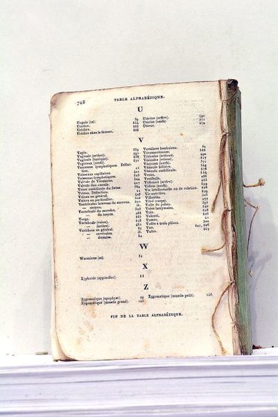 Traité Elémentaire d'Anatomie, ou Description succincte des Organes et des …