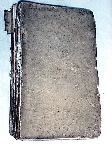 Nouvel Essai sur la Mégalantropogénésie, ou l'art de faire des …