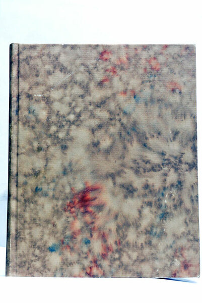 Fridericus Bellicosus Academiae Lipsiensis ante hos trecentos annos Fundator historice …