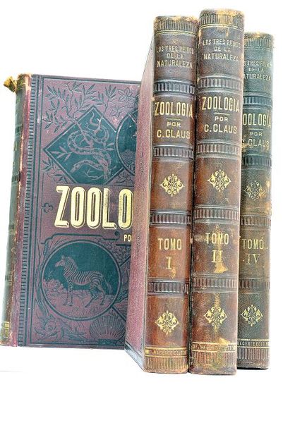 Zoología. Obra Illustrada con unas 1200 figuras trazadas por el …