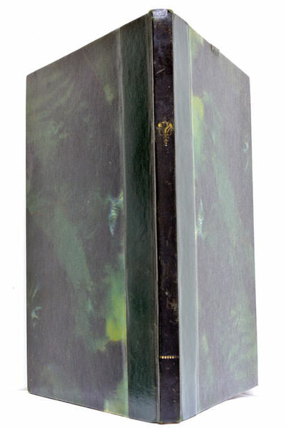 Animorum in Europa et Vicina Asia motus de Suecici belli …